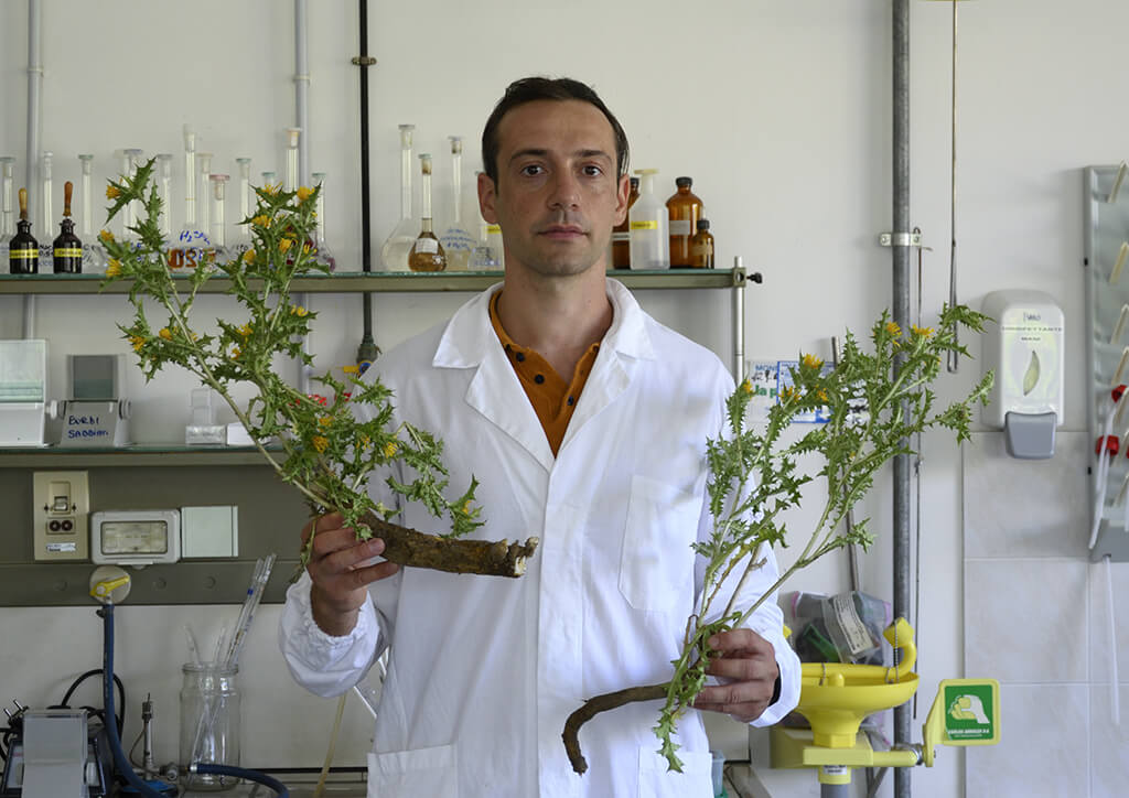 Marco Federico Cagnoni